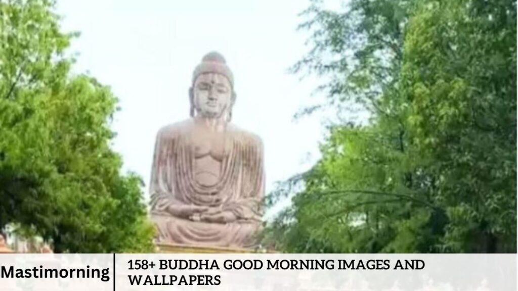 158+ Buddha Good Morning Images and Wallpapers