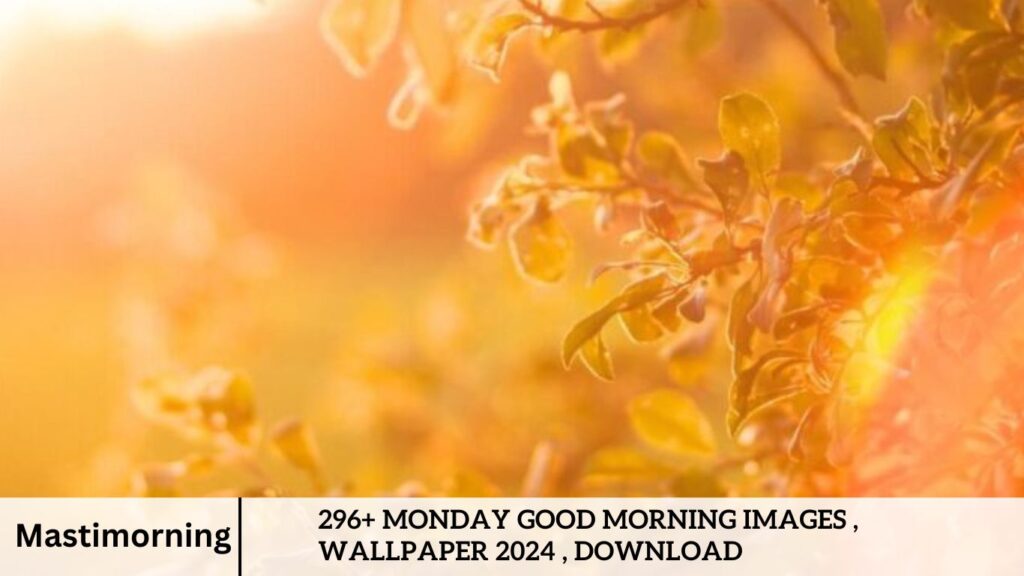 296+ Monday Good Morning Images , Wallpaper 2024 , Download