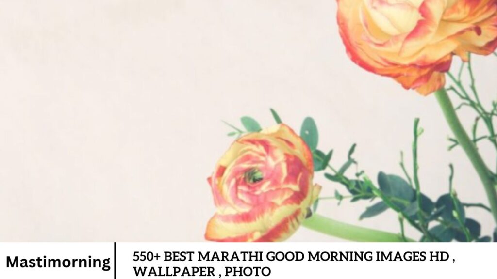 550+ Best Marathi Good Morning Images HD , Wallpaper , Photo