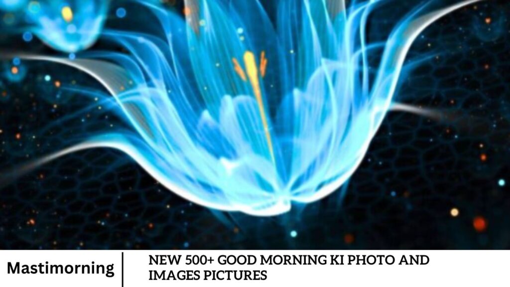 New 500+ Good Morning Ki Photo and Images Pictures