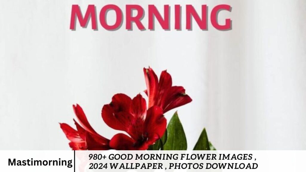 980+ Good Morning Flower Images , 2024 Wallpaper , Photos Download