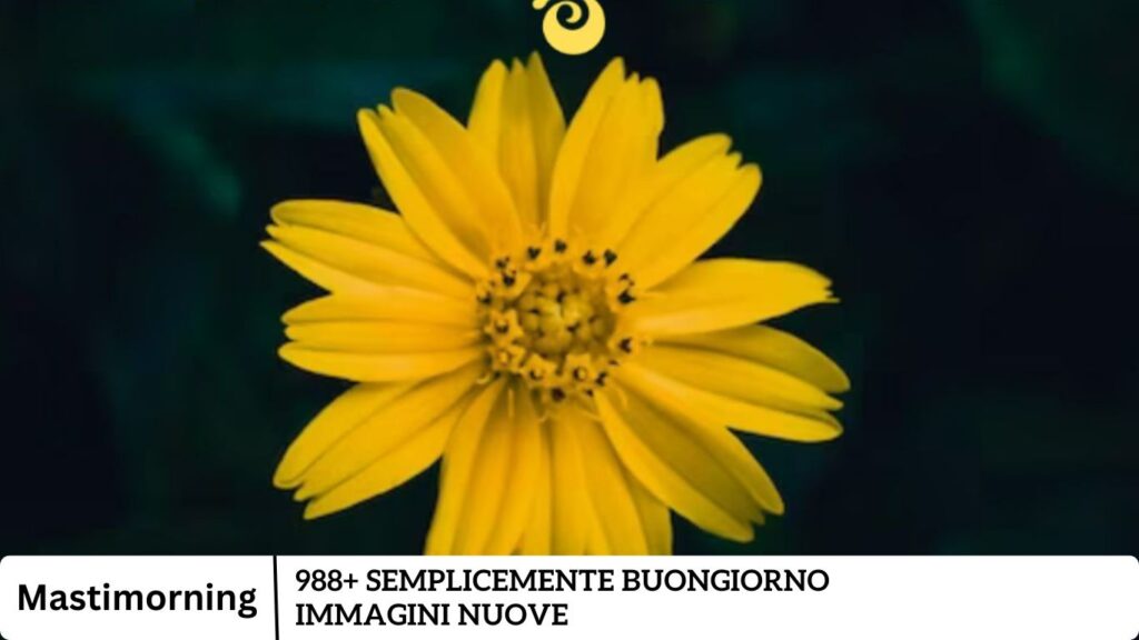 988+ Semplicemente buongiorno immagini nuove