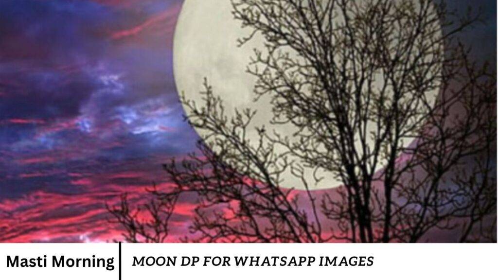 Moon Dp For WhatsApp Images