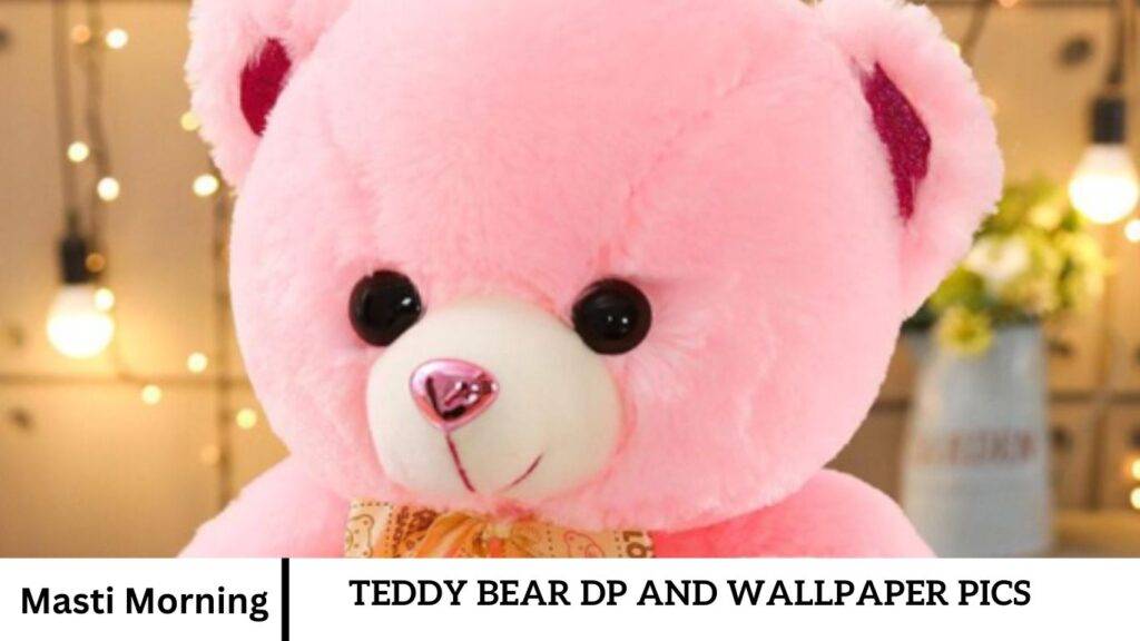 Teddy Bear dp and Wallpaper pics