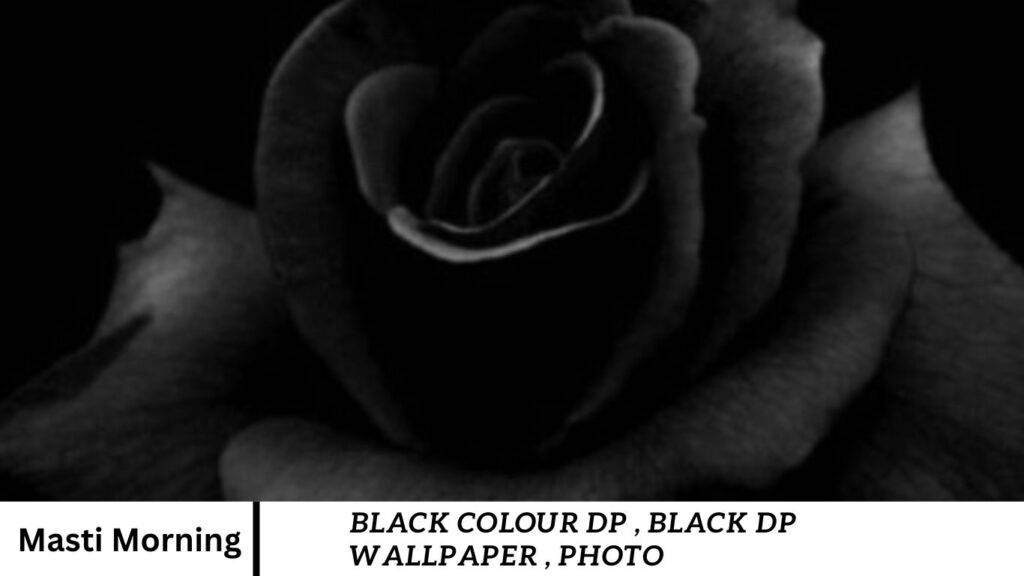 Black Colour Dp , Black DP Wallpaper , Photo