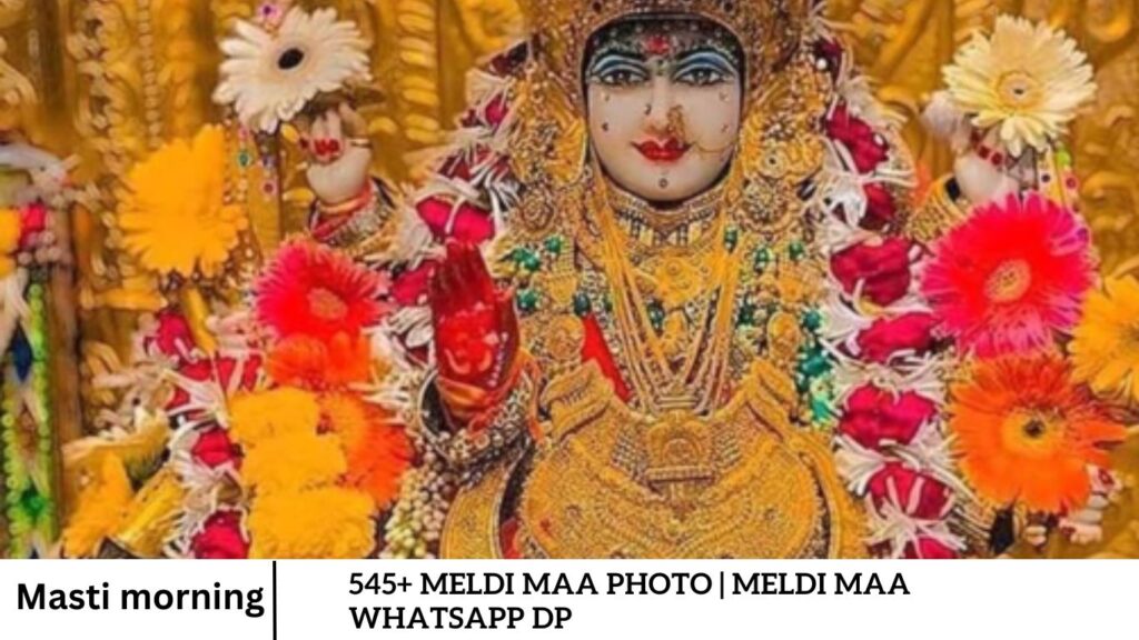 545+ Meldi Maa Photo | Meldi Maa Whatsapp DP