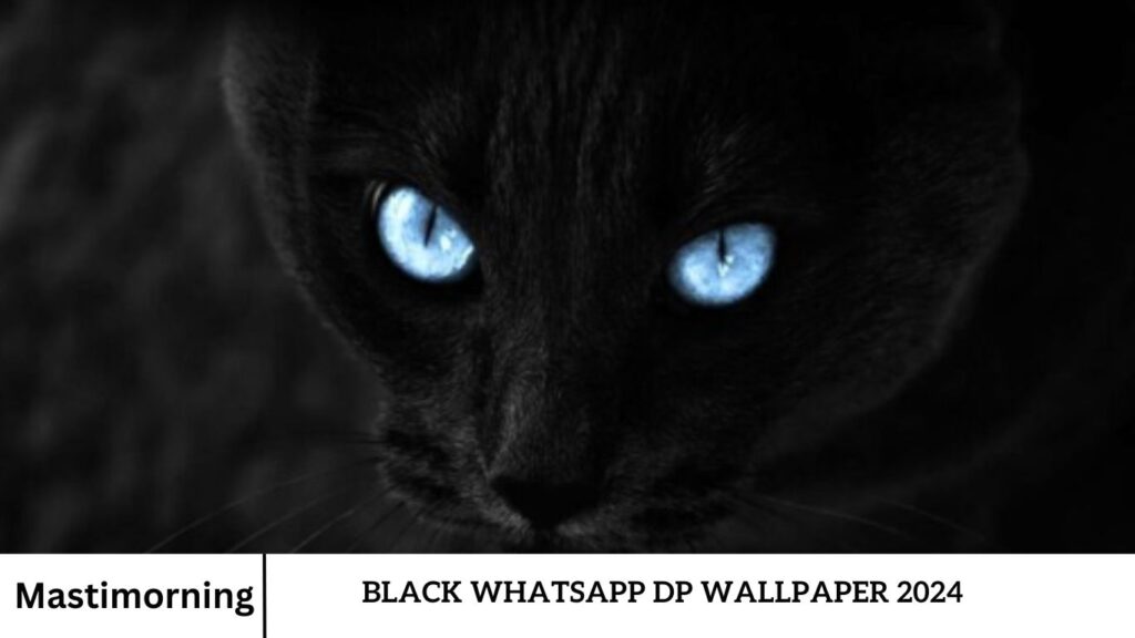 Black WhatsApp Dp Wallpaper 2024