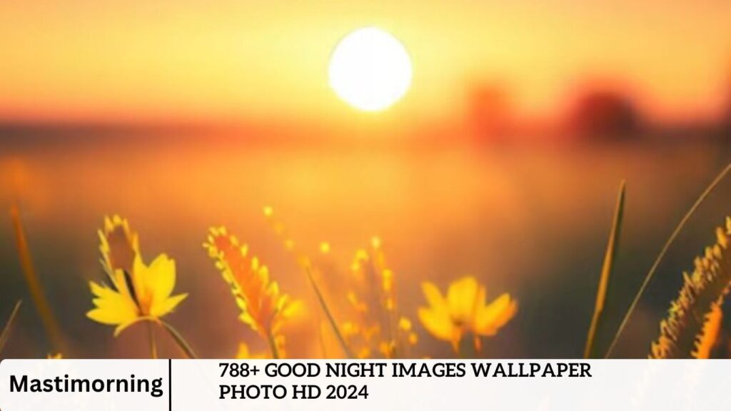 788+ Good Night Images Wallpaper Photo HD 2024